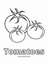 19  Tomato Coloring Pages DeboraStarr sketch template