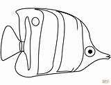Angelfish coloring Page  Free Printable Coloring Pages Fish sketch template