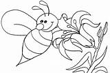 Bumble Bee Coloring Page At GetColoringscom  Free Printable Colorings sketch template