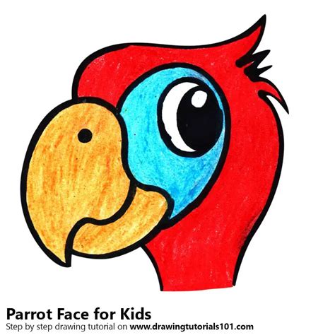 Learn How to Draw a Parrot Face for Kids (Animal Faces for Kids) Step by Step : Drawing Tutorials