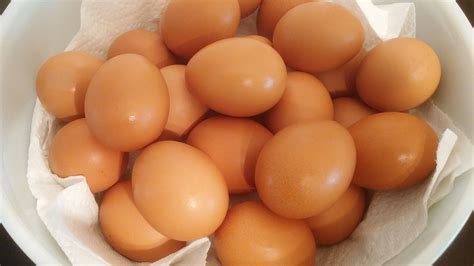 Free Images : dish, food, produce, fresh, brown, chicken, shell, nutrition, eggs, organic, oval ...