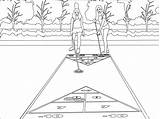 Shuffleboard coloring page  ColouringPages sketch template