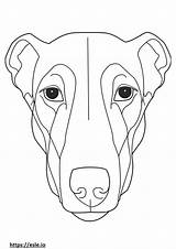 Greyhound Face Coloring Pages sketch template