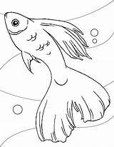Free Printable Fish Coloring Pages For Kids sketch template