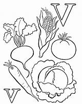 Vegetable Coloring Pages For Childrens Printable Free sketch template