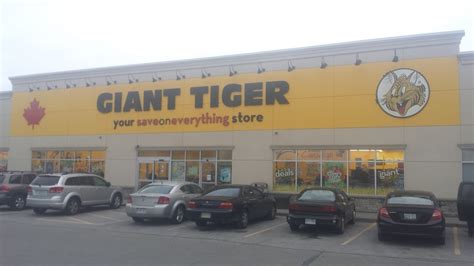 Giant Tiger - 82 King George Rd, Brantford, ON N3R 5K4, Canada