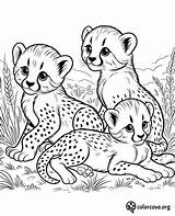 21 Free Cheetah Coloring Pages – The Color Cove sketch template