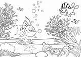 Coloring Pages Ecosystem Mangrove Colouring Sheet Colour Mangroves  sketch template