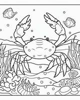 Crabs coloring Pages sketch template