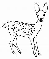 A Cute Fawn Coloring Page  Free Printable Coloring Pages For Kids sketch template