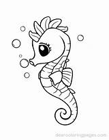 Seahorse Coloring Pages  16 Free Printable sketch template