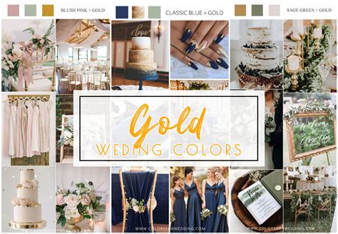 Blush And Gold Color Palette