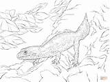 Realistic Leopard Gecko coloring Page  Free Printable Coloring Pages sketch template