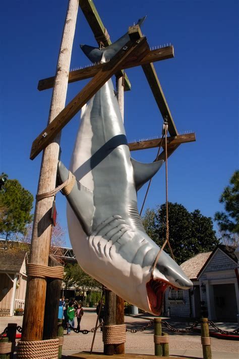 Shark Replica 1 Free Stock Photo - Public Domain Pictures