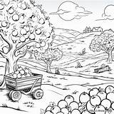 Apple Coloring Pages  Free & Printable sketch template