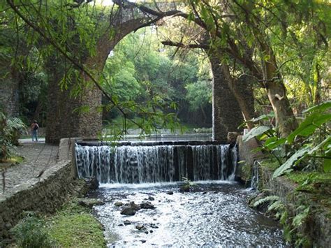 Jardin Borda, Cuernavaca, Morelos | Mexico travel, Incredible places, Mexico honeymoon