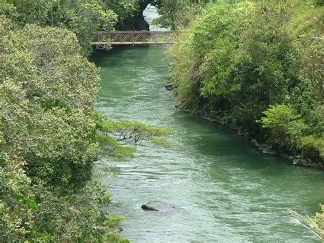 Mendi River - Papua New Guinea - Reviews of Mendi River - TripAdvisor