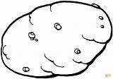 Potato coloring page  Free Printable Coloring Pages sketch template