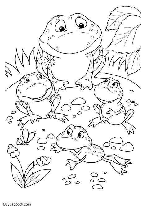 Frog Life Cycle Coloring Sheet Coloring Pages