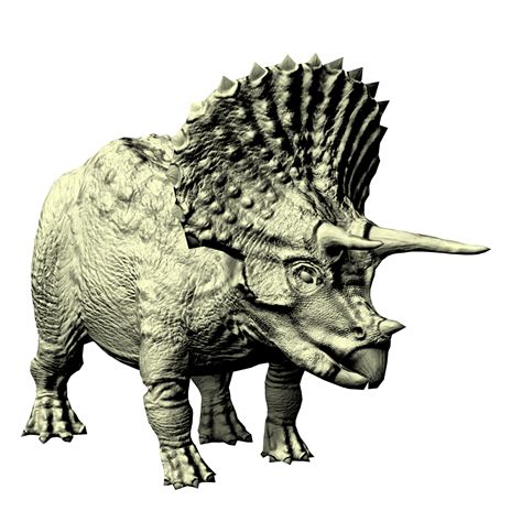 Triceratops 3d Drawing Free Stock Photo - Public Domain Pictures