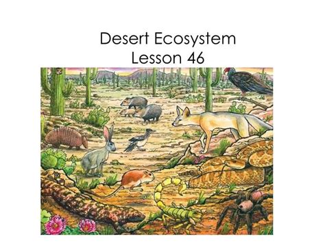 Desert Ecosystem Diagram In Hindi