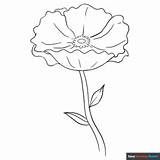 Poppy Coloring Page  Easy Drawing Guides sketch template