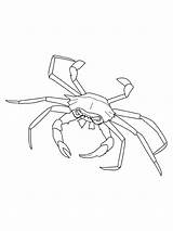Crab Printable coloring Page  Download Print Or Color Online For Free sketch template