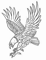 Eagle Coloring Pages Free Printable PDF sketch template