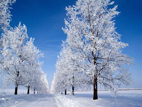 Country Snow Scenes Wallpaper - WallpaperSafari