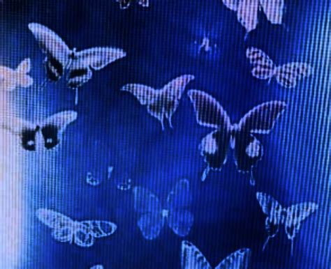 Aesthetic Indie Butterflies Sparkle Wallpaper Cyber - vrogue.co