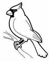 Printable Birds coloring Page To Print And color  Coloring Pages sketch template