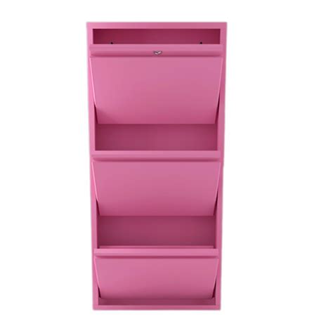Mild Steel Polished Three Tier Shoe Cabinet, Wall Mount, 3 Shelves at Rs 7115 in Pune