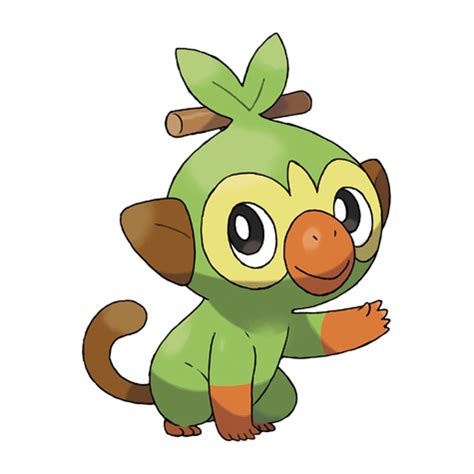 Grookey | Pokédex