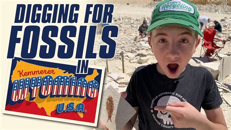 Digging for fossils at American Fossil in Kemmerer, Wyoming - YouTube