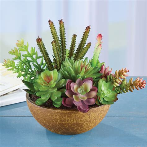 Artificial Succulent Arrangement in Lovely Textured Bowl - Add Style to Any Table, Desk, Shelf ...