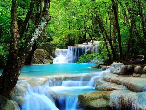 Forest Waterfall Wallpapers - Wallpaper Cave