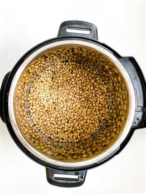 Instant Pot Green Lentils - Happy Veggie Kitchen