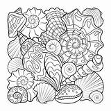 Seashells Coloring Book Page For Adult Hand Drawn Vector Illustration  sketch template