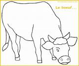 Boeuf Coloriage Banquet 1356 Banchetto Nozze Parabole Souper Coloriages  sketch template