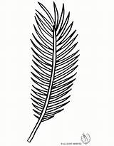 Palm Leaf Coloring Pages To Print  Free Printable sketch template