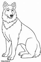 Coloring Hirte Berger Testament Pastore Malvorlage Psalm Pasterz Herder  sketch template