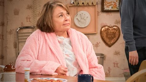 Roseanne's History With Controversy: 4 Scandals From the TV Star's Past | Entertainment Tonight