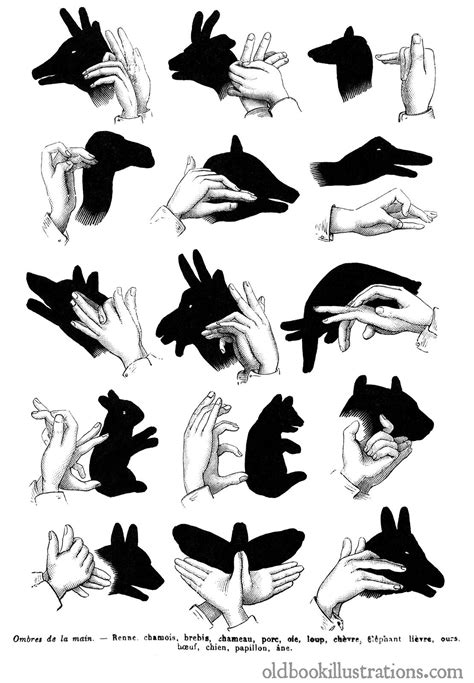 Hand Shadow Puppetry | Old Book Illustrations