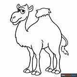 Camel Outline Clipart Drawing Cammel Webstockreview Silhouette Logo Svg  sketch template