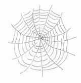 Printable Spider Web Coloring Page sketch template