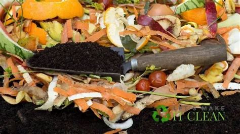 Ingredients For Compost. 13 Tips To Compost Like A Pro!