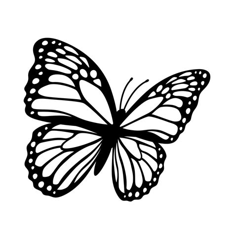silueta de mariposa monarca. ilustración vectorial aislado sobre fondo blanco 10595158 Vector en ...