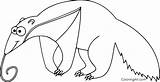 Anteater Coloring Pages 32 Free Printables  ColoringAll sketch template