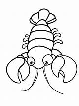 Printable Lobster Coloring Page sketch template