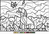 Ray Color By Number Coloring Page  Free Printable Coloring Pages For Kids sketch template